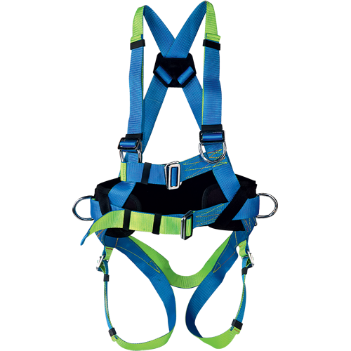 nXOjCEDJpUKKyMHf8X4buw_0651539